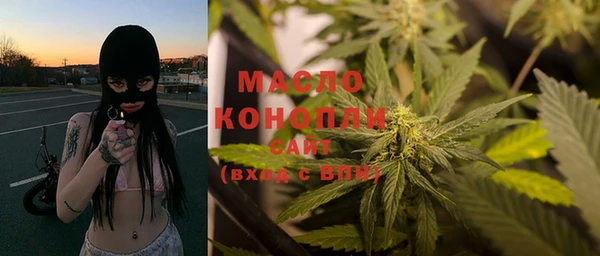 спиды Вяземский