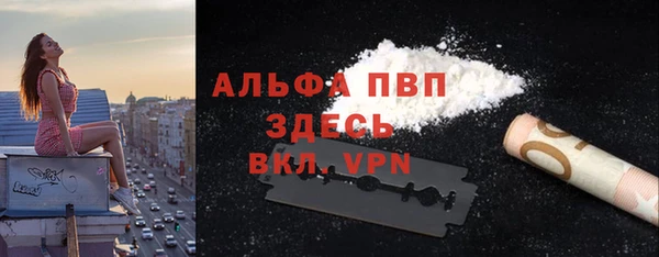 спиды Вяземский