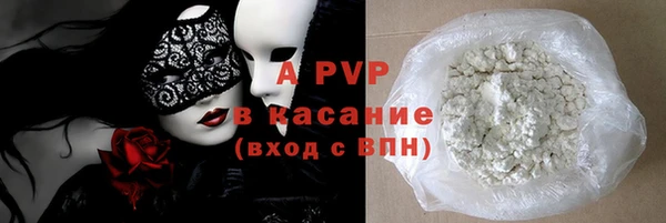 спиды Вяземский