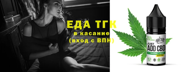 спиды Вяземский