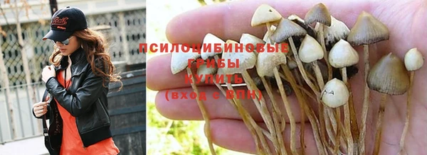 спиды Вяземский