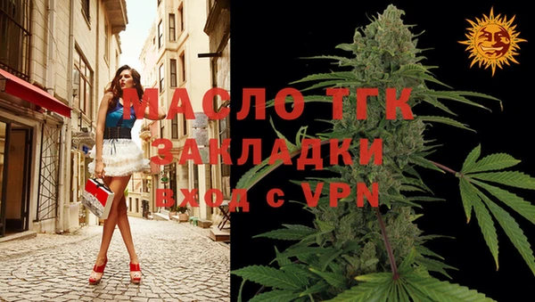 спиды Вяземский