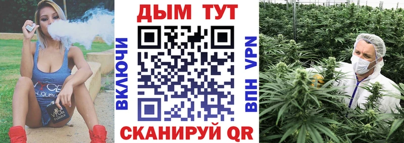 hydra   shop клад  Шишки марихуана планчик  как найти наркотики  Ноябрьск 